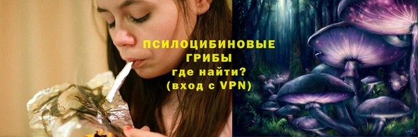 прущий лед Арсеньев