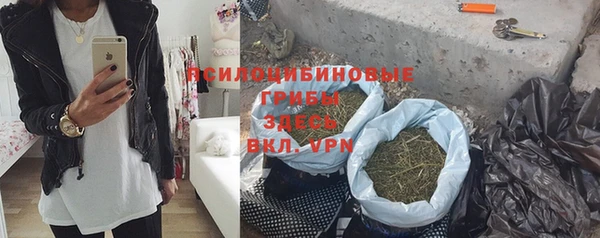 прущий лед Арсеньев